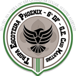 LogoTropaPhoenix_Pequeno_01_P_B
